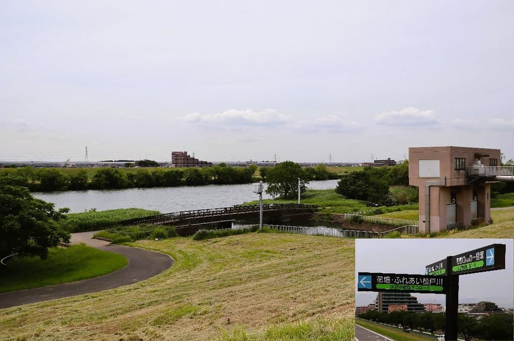 江戸川とふれあい松戸川